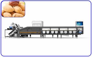 China Agricultural Pecan Sorting Equipment 16 Channel For Size And Damage wholesale