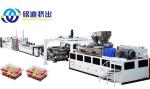 Twin Screw Automatic Plastic Extruder Machine For PET / PLA / PP / PS Film Sheet
