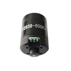China F2838 Waterproof Motor 12V DC Brushless Underwater Motor With Propeller for Submarines wholesale