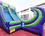 Commercial Inflatable Jumper Castle Water Slide Bounce House