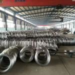 2B Surface Finish 316l Stainless Steel Wire for Dutyfree Products at in 300