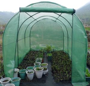 China PE tarpaulin garden greenhouse for protection plants in freezer cold weather wholesale
