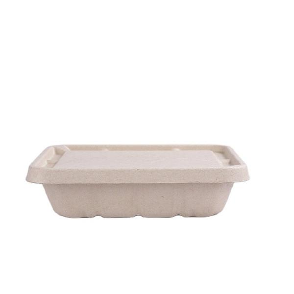 100 Percent Biodegradable Disposable Cutlery Bagasse Sugarcane Takeaway Paper
