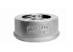Full Bore 201/304 Stainless Steel Pair Clip Lift Check Valve for Water Pump Hard