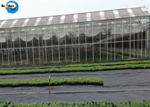 China UV Treated Agricultural 3.2m Woven Plastic Weed Control Mat Ground Cover Barrier Fabric Sheet wholesale