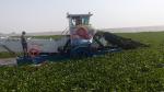 3m Length Power 25Kw High Quality High Efficiency Blue Cutter Aquatic Weed