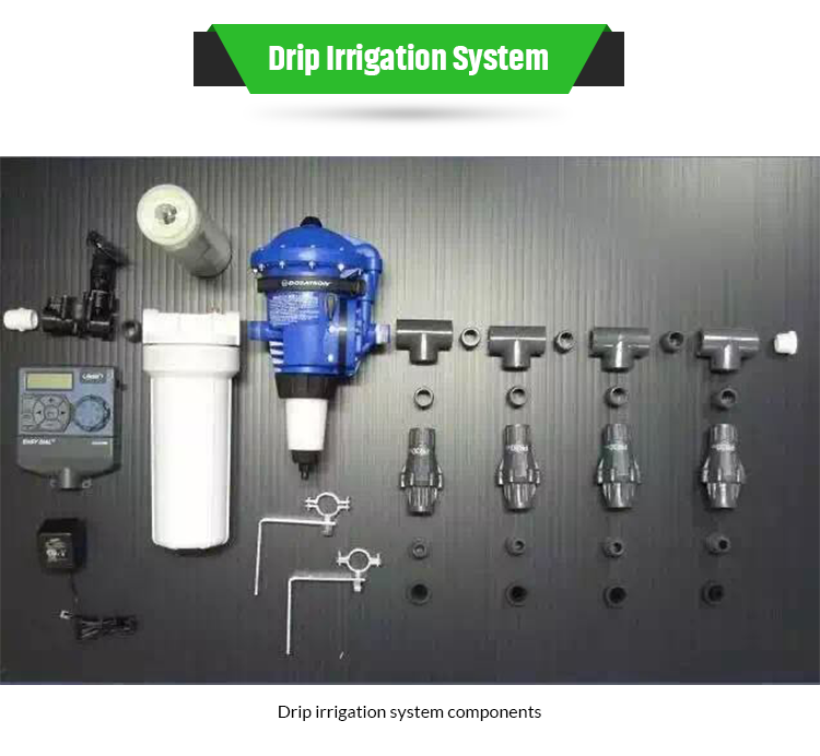 Hydroponic Vertical Self Watering Artificial Green Wall System for Greening Projects