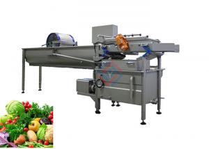 China Vortex Type Vegetable Fruit Washing Machine with Deslagging Function on sale