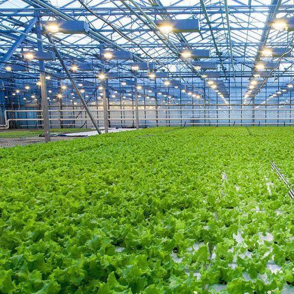 Soilless Culture Film Greenhouse Design for Vegetables and Temporary Heating