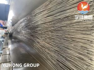 China Bright Annealed Tube , TP304 / TP304L / TP316L Stainless Steel Needle Capillary Tube wholesale