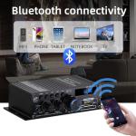 AK-380 5.0 Amplifier 2.0 Channel Car Home Theater Amplifier Mini HIFI Digital