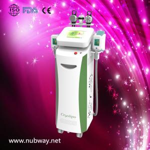 China Super fast amazing result cryolipolysis for weight loss to lose weight wholesale