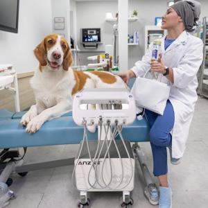 China Foshan Veterinary Equipment Factory Mobile Dental Delivery Unit Vet Use Dental Treatment Cart for Small Animals wholesale
