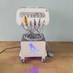 Pet Use Portable Dental Treatment Machine Unique Design Vet Mobile Dental