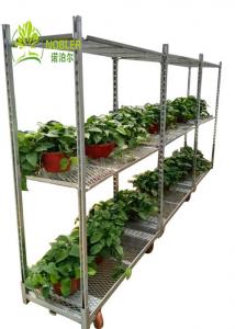 China Hot Galvanized Greenhouse Carts Flower Trolley Danish Trolley Racks wholesale