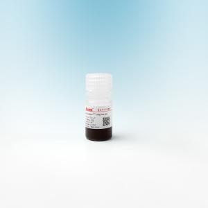 China Mag OH Silica Magnetic Beads For DNA Extraction 500nm 10 mg / mL 5 mL wholesale