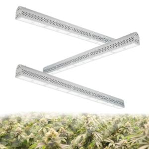 China Linear Design 2 Foot Led Grow Light For Commercial Cannabis Growing Project wholesale