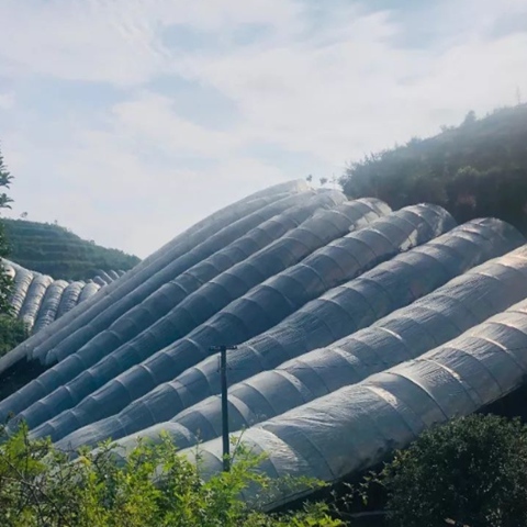 High Mesh Density Garden Netting Multiple Roll Sizes For Farm Pest Isolation