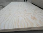 plywood pine fancy plywood 18mm from SHOUGUANG QIHANG INTERNATIONAL TRADE CO.
