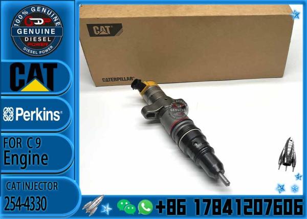 Common Rail Fuel Injector 254-4330 557-7633 557-7637 328-2578 328-2580 267-9710