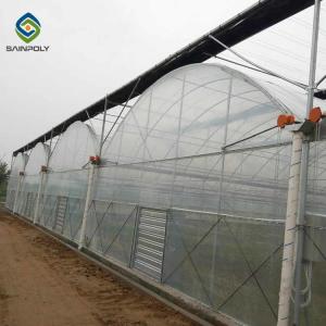 China 6mm Plastic Polyethylene Film Greenhouses With Irrigation System wholesale