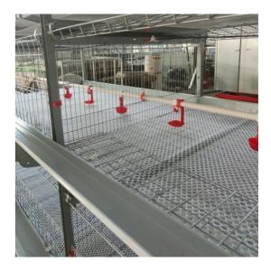 China 3tire 2150x2300x1600mm Poultry Farming Equipment For Laying Hens Chicken Cage wholesale