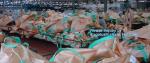 big bags 1500kg jumbo bag cheap price 1 ton pp woven jumbo bags packaging