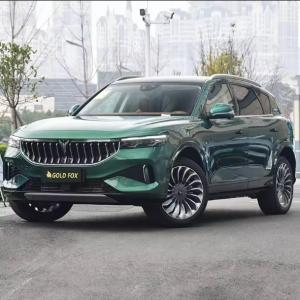 China Maximum Range 860km Dongdeng Voyah Electric Car for 2024 Condition and 130 Km/H Speed wholesale