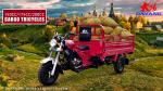 DAYANG Prince 150CC/175CC/200CC Cargo Tricycle for Africa and Southeast Asia
