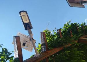 China 1300Lms 90w Led Solar Street Lights High Lumen Induction Power wholesale