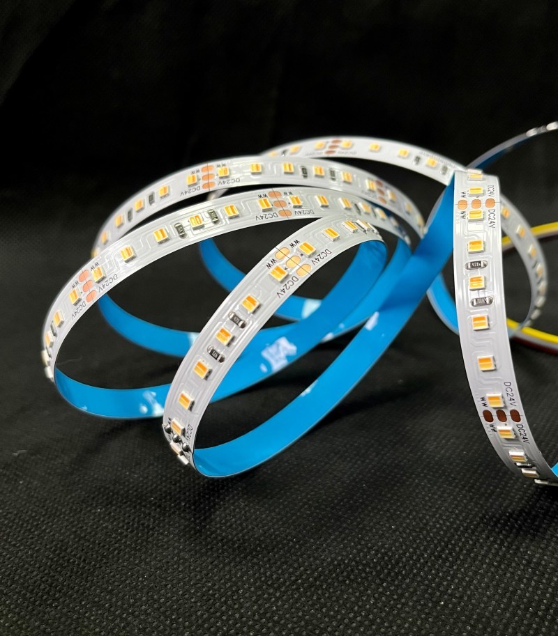 Dynamic CCT 3528 LED Tape Light Switchable White Flexible LED Strip 12V 24V