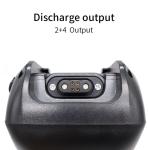 Sea Dragon Series 18650 Lithium Battery , 36v Electric Bicycle Lithium Battery