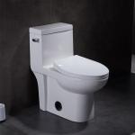 1 One Piece Elongated Toilet 15" Height Ceramic Wc Syphon Seamless Porcelain