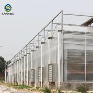 China Skeleton 12m Flower Polycarbonate Greenhouse Heat Resistance wholesale