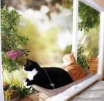 Cute Comfortable Hanging Pet Bed Bearing 20kg Window Mounted Cat Bed