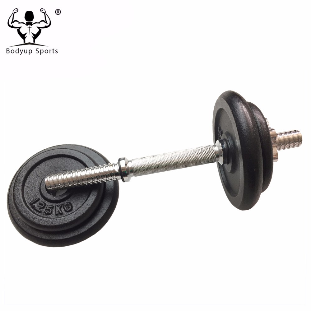 Cast Iron Black Painting Standard Weight Plate / Weight Disc