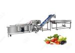 380V CE Certified Stainless Steel Commercial Fruit And Vegetable Washing