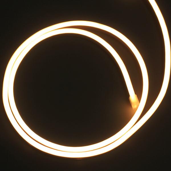 SMD2216 Led Neon Strip Light 140LEDS/M Extremely Narrow No Shadow