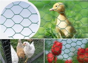 China Poultry Fence 50mm BWG19 Reverse Twisted Hexagon Metal Mesh wholesale