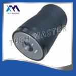 Rear Air Spring Pneumatic BMW Air Suspension Parts for BMW E53 X5 Left