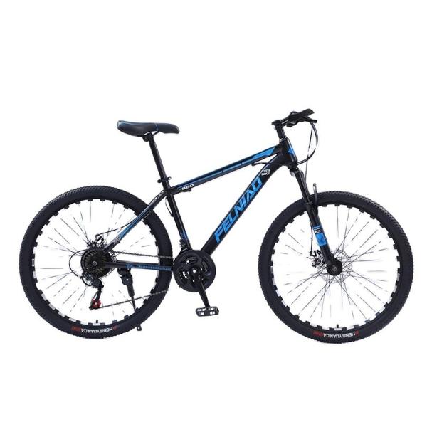 Design Road Bicycle Dual Disc Brakes Bike Racing Mountain Bike with Ordinary