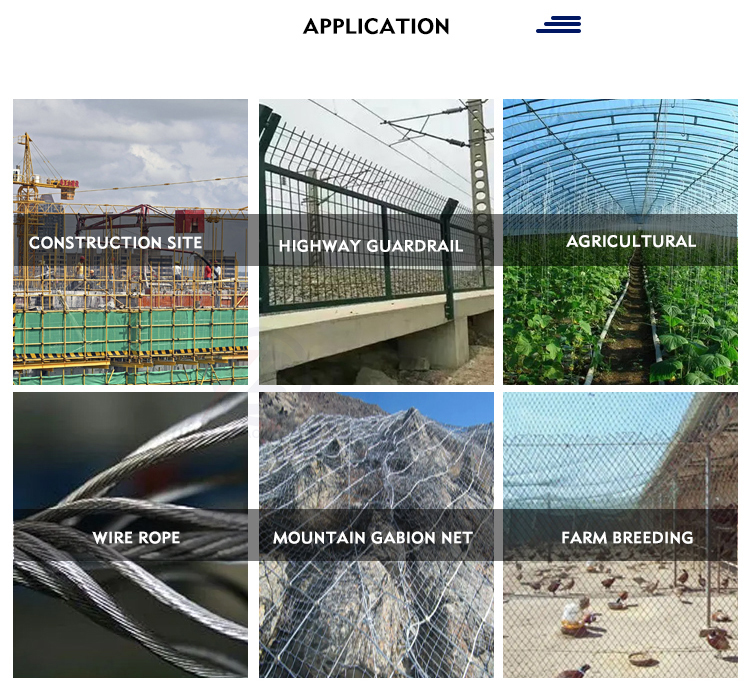 Competitive Produce Spring Steel Grade Hot Dipped Galvanized Wire for Barbed Wire Chain Link Fence Welded Wire Hexagonal Mesh