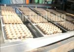 Paper Egg Tray Fruit Tray 4000pcs Pulp Molding forming machine