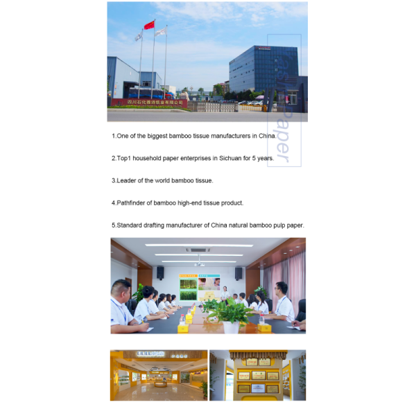 OEM High Quality Plain Pocket Facia Tissue Paper Pack