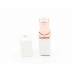 Plastic Lipstick Tube Revolves And Retracts In Various Colors Internet Celebrity