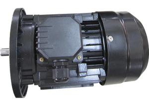 China MINGDONG MS Series 3 Phase Induction Motor , 2 Pole Electric Motor B3 B5 B14 High Efficiency wholesale