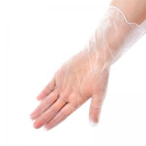 China Examination DEHP free Disposable Vinyl Gloves Wholesale Powder Free wholesale