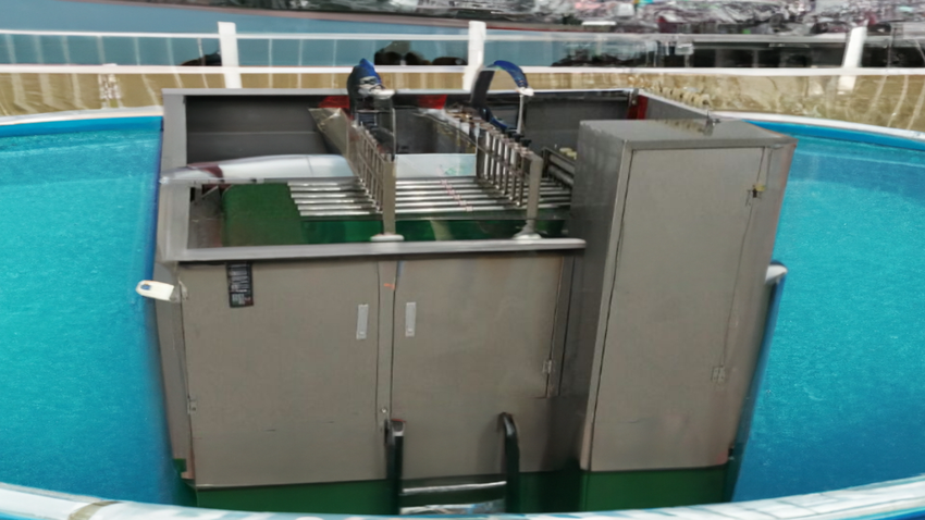Surgical Cotton Ball Making Machine for Manufacturing Plant at 15kg/hour Machine Speed