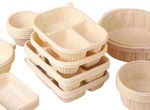 China Thin Wall Compostable Disposable Food Container Making Machine Manufacturers wholesale