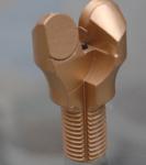 PDC Anchor Bit